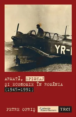 Aspecte ale economiei romanesti in timpul razboiului rece (1946-1991)